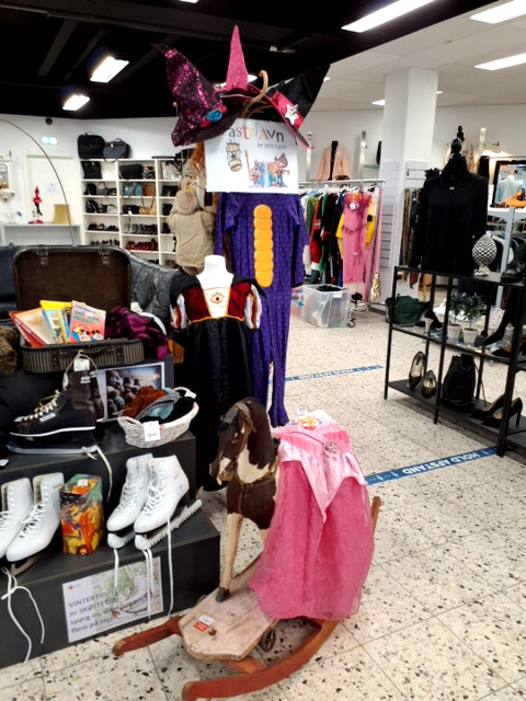 Fastelavns udklædning